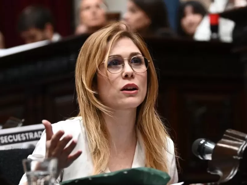 Familiares de v&iacute;ctimas denunciaron a Lilia Lemoine por presunta incitaci&oacute;n al odio