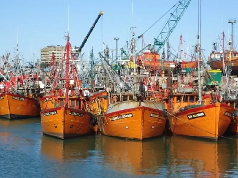 La Justicia analiza en Mar del Plata una posible relaci&oacute;n entre metales en sangre y emisiones del puerto