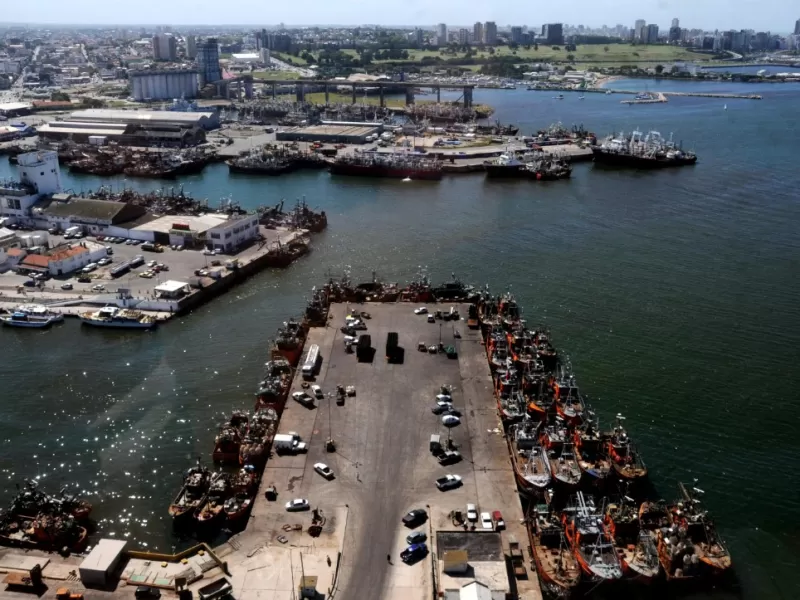 &ldquo;Me envenenaron&rdquo;: un hombre de Mar del Plata present&oacute; estudios y apunt&oacute; al ambiente del puerto