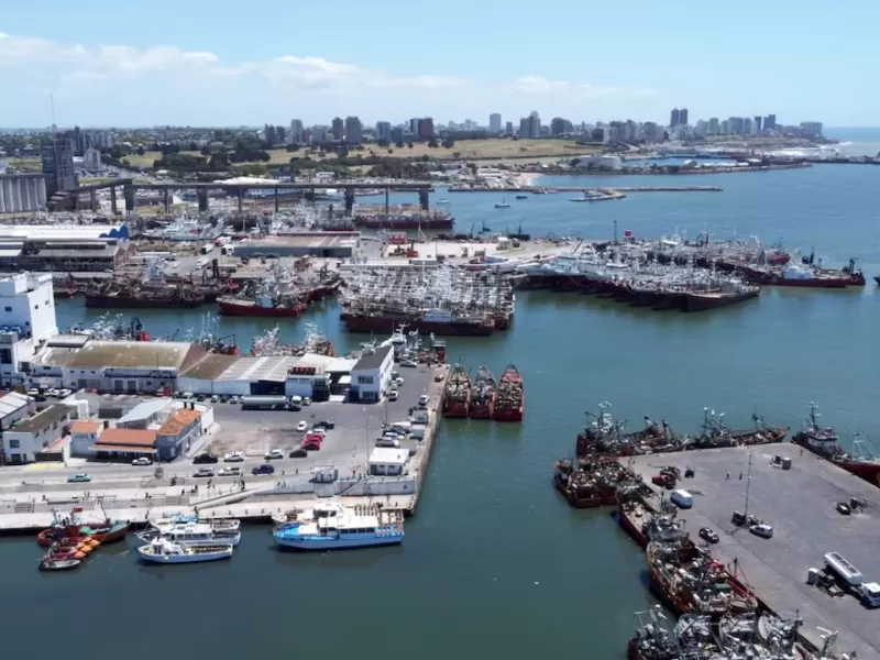 Un informe revela que Mar del Plata registra niveles de trimetilamina cientos de veces superiores a lo permitido