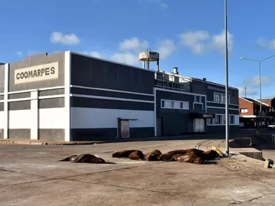 La causa por presunta contaminaci&oacute;n suma un nuevo pedido probatorio en el Tribunal Federal de Mar del Plata