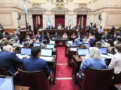 Llevaron al Senado un pedido para remover el radar de LeoLabs y prohibir instalaciones similares