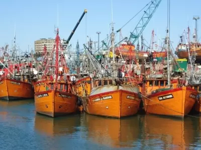 La Justicia analiza en Mar del Plata una posible relaci&oacute;n entre metales en sangre y emisiones del puerto