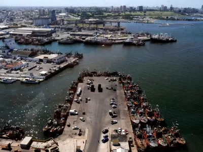 &ldquo;Me envenenaron&rdquo;: un hombre de Mar del Plata present&oacute; estudios y apunt&oacute; al ambiente del puerto